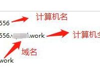 一文搞懂常用网络概念：静态动态IP,域名解析DNS,动态域名解析DDNS