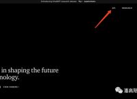 超详细注册OpenAI接口账号的教程