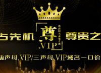 近一年.VIP域名成交榜：M.vip55万Yun.vip19.8万...