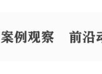 肖飒AI绘画作品的权利归属及侵权风险分析