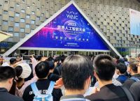 AI大模型，开启“战国”时代！｜聚焦WAIC