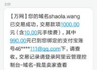 想不通：一家做页游的游戏公司收购这个域名做什么？