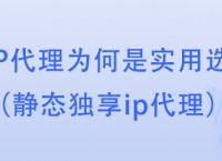 购买IP代理为何是实用选择？（静态独享ip代理） 