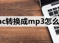 flac转换成mp3怎么转-这3种方法一学就会