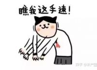 抢票软件是真的有用还是智商税？