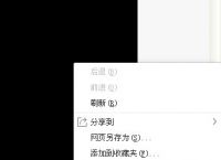 360浏览器网页视频提取技巧