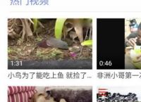 手机QQ浏览器如何清除默认浏览器的设置？[多图]