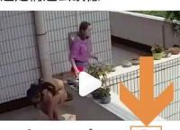 手机QQ浏览器如何给手机更换铃声[多图]