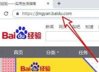 谷歌浏览器Chrome怎么样获取百度的BDUSS？谷歌浏览器获取百度的BDUSS的方法[多图]