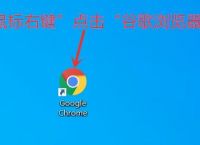 新版谷歌浏览器怎么导入密码？新版谷歌浏览器怎么导入密码教程[多图]