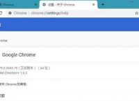 Google浏览器更新：79.0.3945.79绿色便携版[多图]