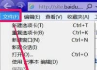 Ie浏览器如何导出Coookies？导出Coookies的方法[多图]