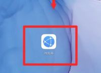 华为手机系统浏览器怎么开启广告强力过滤？华为手机系统浏览器开启广告强力过滤的方法[多图]