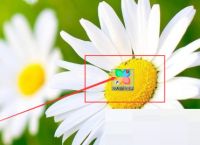 360软件管家登录方式怎么查看