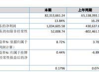 新启成2019年净利103.46万增长140.25%网络营销的新增客户群体淘客电商