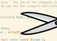 Code Snippets 在WordPress中轻松添加和管理PHP代码片段