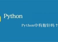 Python中有指针吗？
