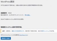 禁用 WordPress 更新检测和自动更新功能