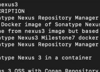 Docker 搭建 Nexus3 私服 | 基本操作