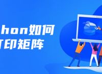 python如何打印矩阵