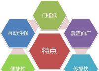 网络营销的特点有哪些