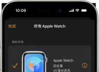 如何在有 iPhone 的情况下取消配对和抹掉 Apple Watch