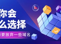 如果必须要放弃一些域名，你会通过哪些角度选择要放弃的域名？