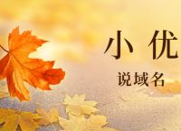 【小优说域名】sino.xyz买家是房产公司；谷歌拿下几个Typo域名！