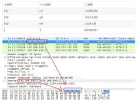 IP、主机名和域名