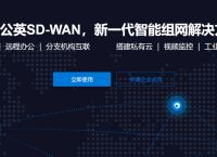 虚拟局域网的功能是什么？有哪些好用的虚拟局域网工具推荐？