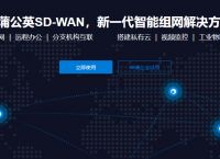 sdwan 是什么？sdwan智能组网方案分享