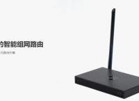 路由器是干什么的？蒲公英路由器性价比高吗？