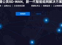怎么更改ip地址? 没有公网ip蒲公英如何组建局域网？