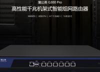 动态IP和静态IP的区别是什么？蒲公英无需静态ip就能异地组网