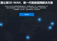 SD-WAN组网您了解吗？国内企业SDWAN组网方案推荐