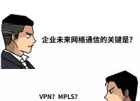 凭什么3年内SD-WAN垄断企业网络？