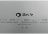 蒲公英对于不同情况的组网方案及优势