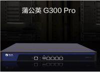 蒲公英G300 PrO路由器 组建远程局域网无需公网IP