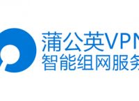 异地组网难题该如何解决——蒲公英解决方案