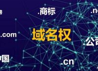 在先域名权利受法律保护，域名是企业的网上标志需加强保护