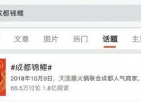 1万成本微博涨粉28万“成都锦鲤”背后的网络营销