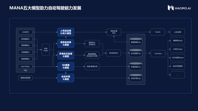 人驾自监督认知大模型4.jpg