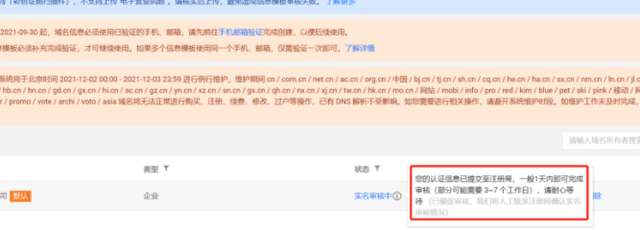 域名信息模板审核.png