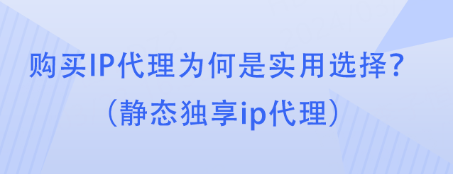 购买IP代理为何是实用选择？（静态独享ip代理） 