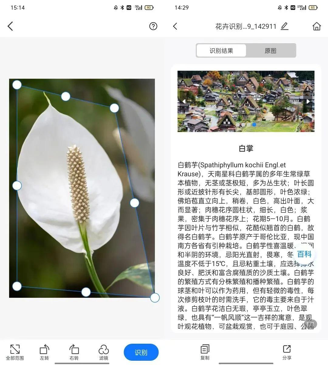 等待几秒就能得到识别物体的具体名称信息.jpg 等待几秒就能得到识别物体的具体名称信息.jpg